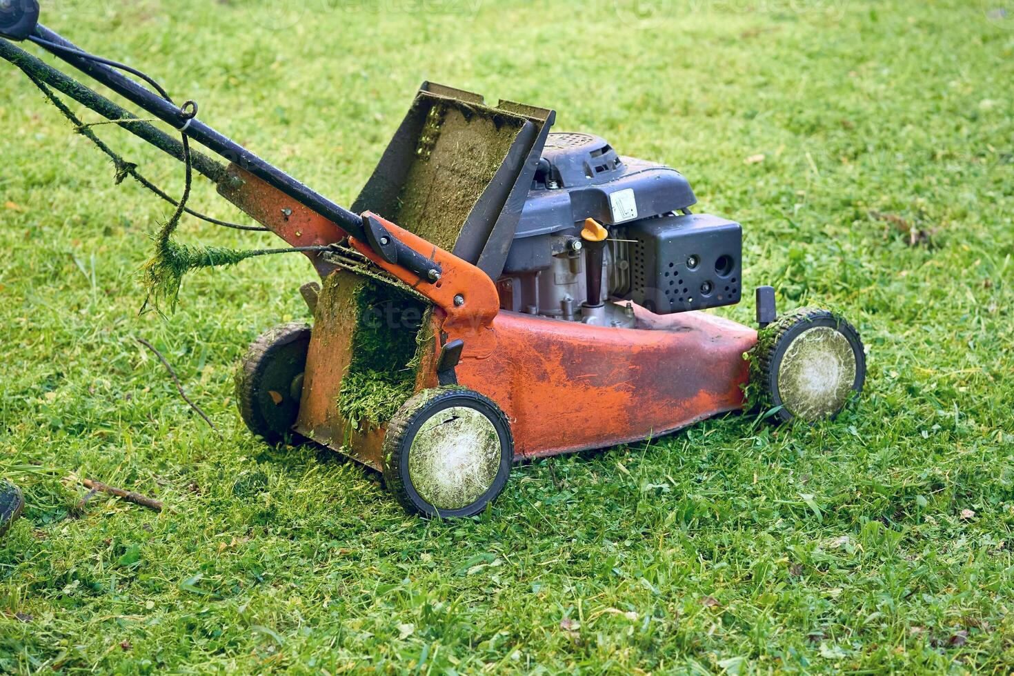 Professional grass cutting on lawns with handle lawn mower photo