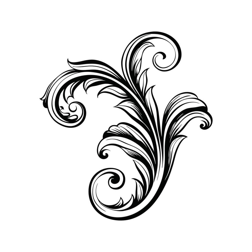 Elegant black and white decorative flourish design illustration for design projects vector
