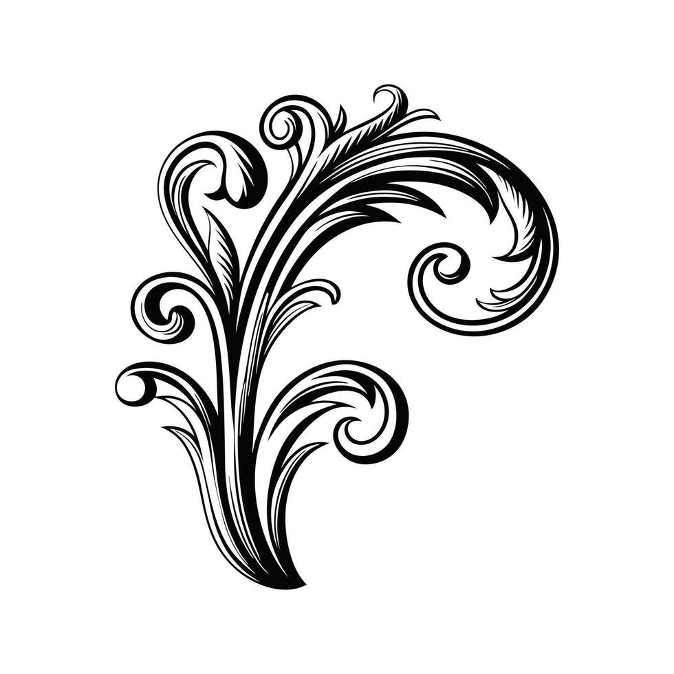 Elegant black and white decorative flourish design element illustration isolated on white vector
