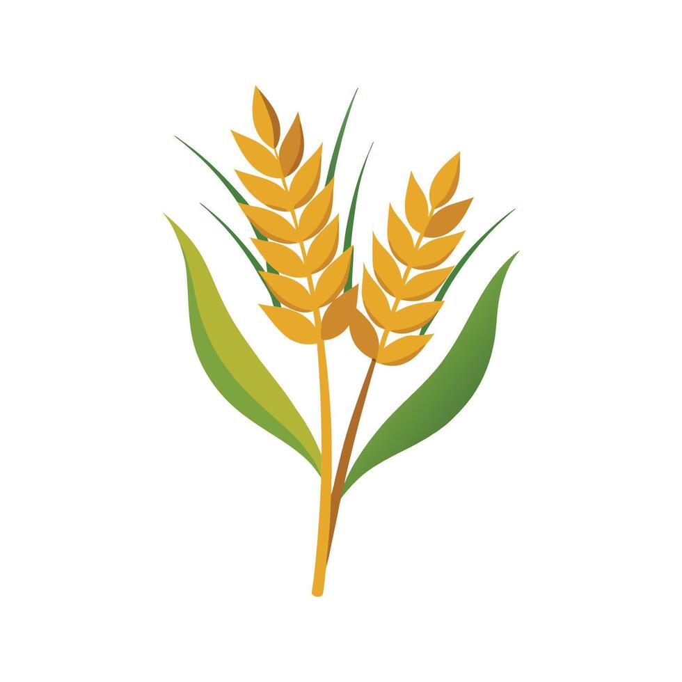 illustration of wheat ears representing agriculture and healthy food concepts vector