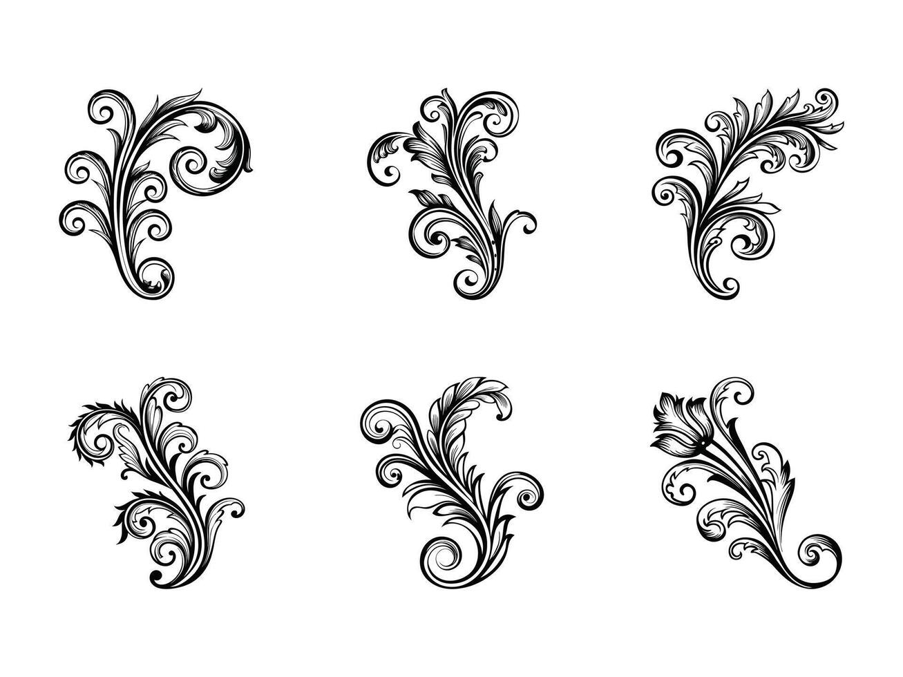 Elegant decorative floral elements in a classic black and white baroque style vector