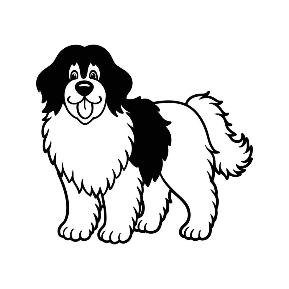 Smiling black and white newfoundland dog illustration for children books and educational material vector