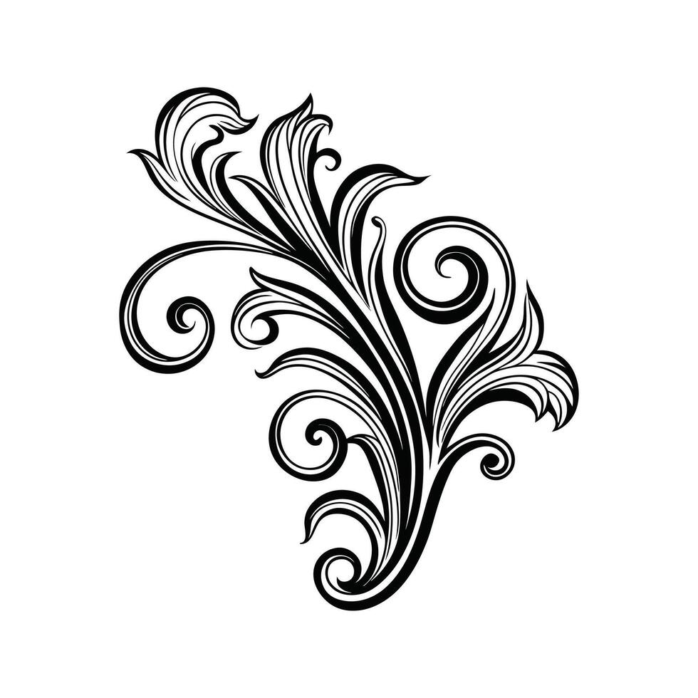 Elegant decorative flourish illustration in black and white isolated on white background vector