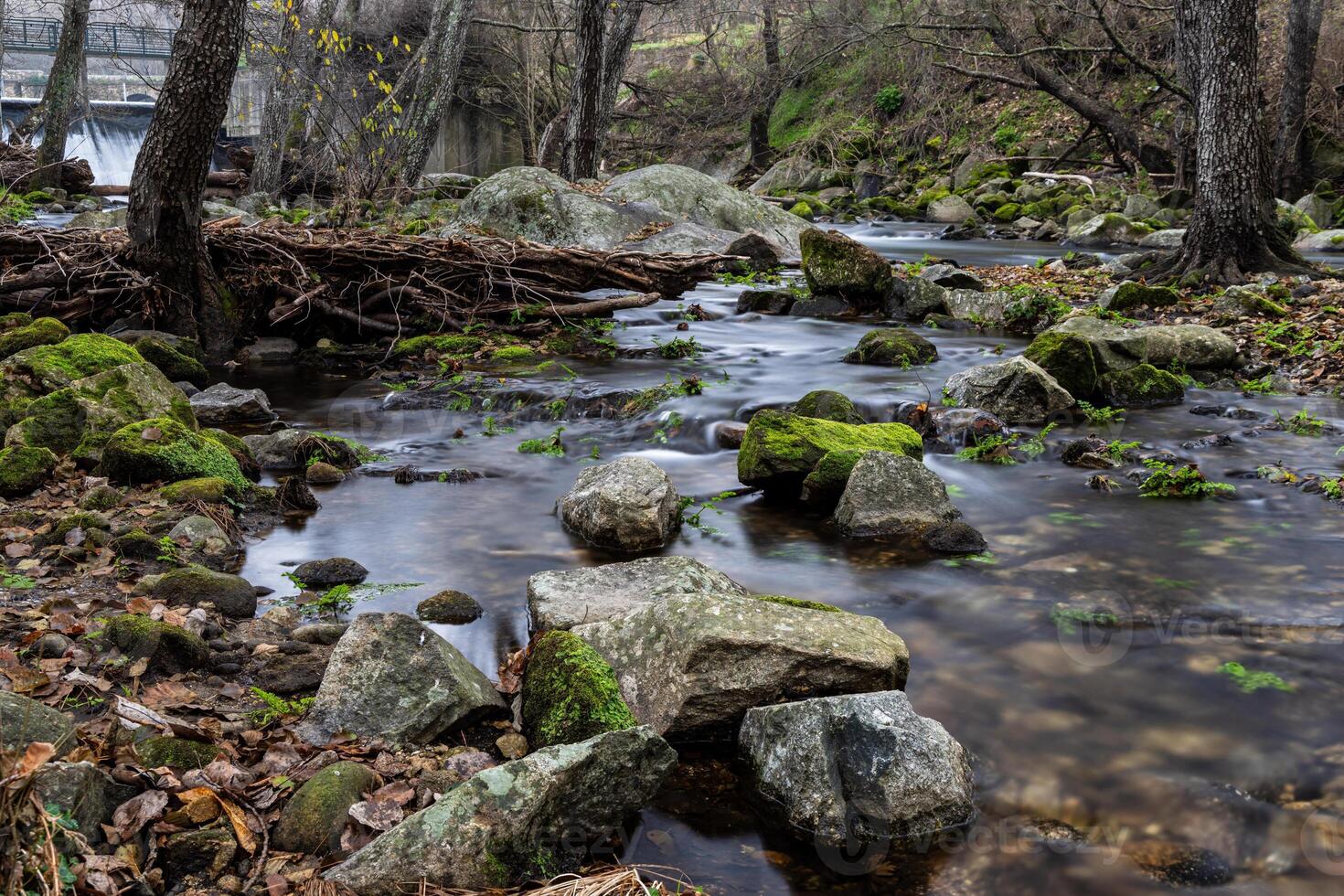 Stream with mossy rocks in forest, long exposure. photo