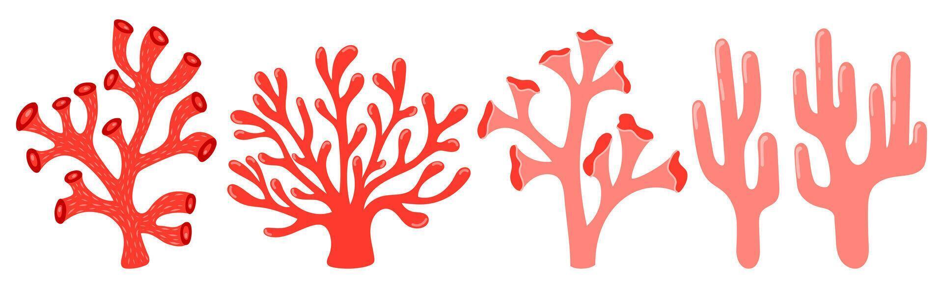 Red and pink Coral set. Ocean plants, underwater flora, seaweed. Aquatic plant, algae, tropical coral-reef elements. Flat illustration isolated on white background vector