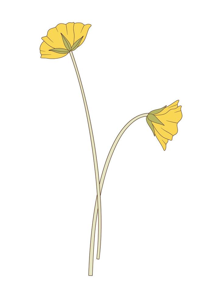 Bouquet of two yellow flowers. Bunch of blooming perennial wild plants. Botanical hand drawn elements for design projects illustration vector