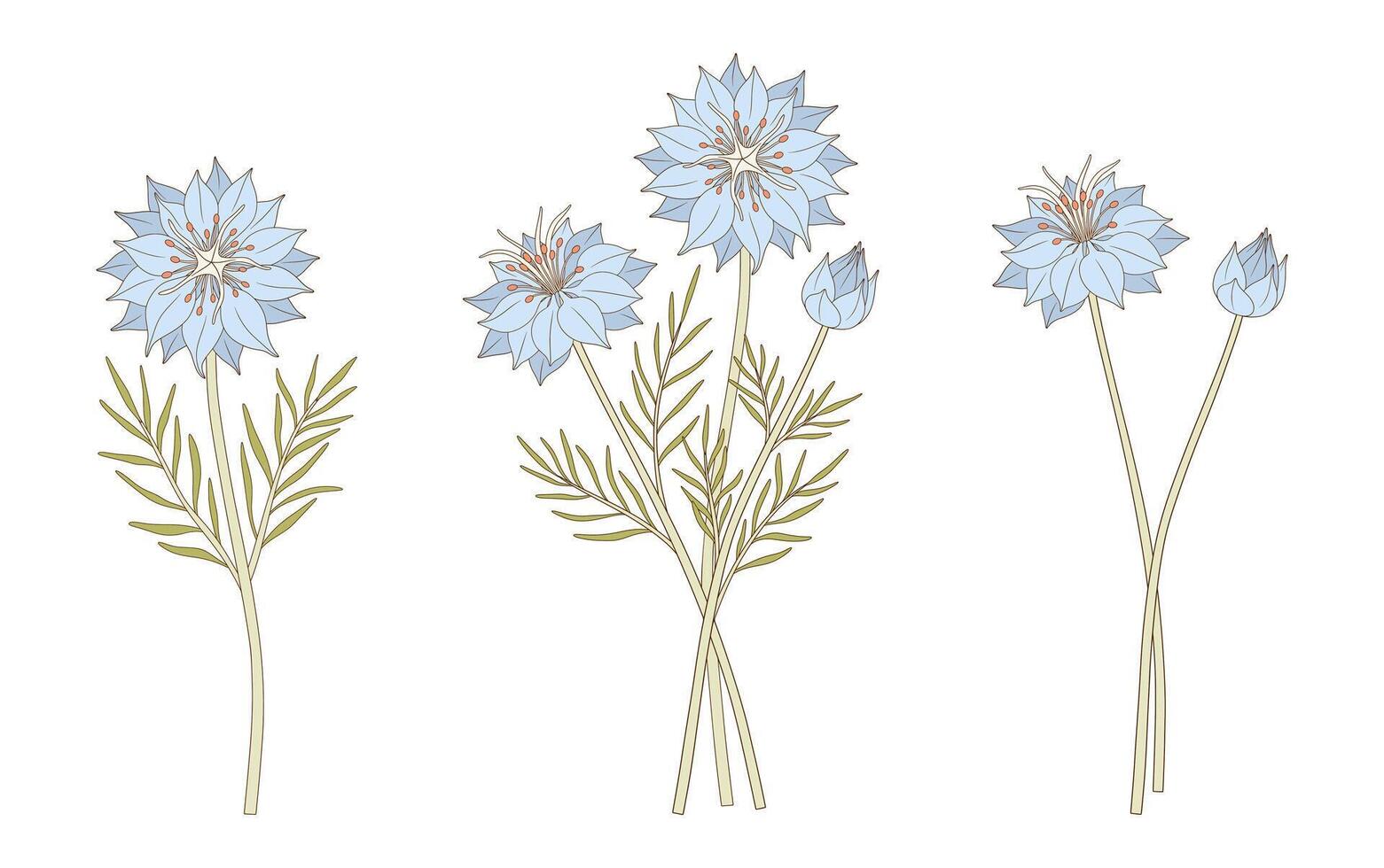 Set of three bouquets of blue nigella flowers. Bunches of blooming wildflowers with leaves, perennial wild plants. Botanical hand drawn elements for design projects, illustration vector