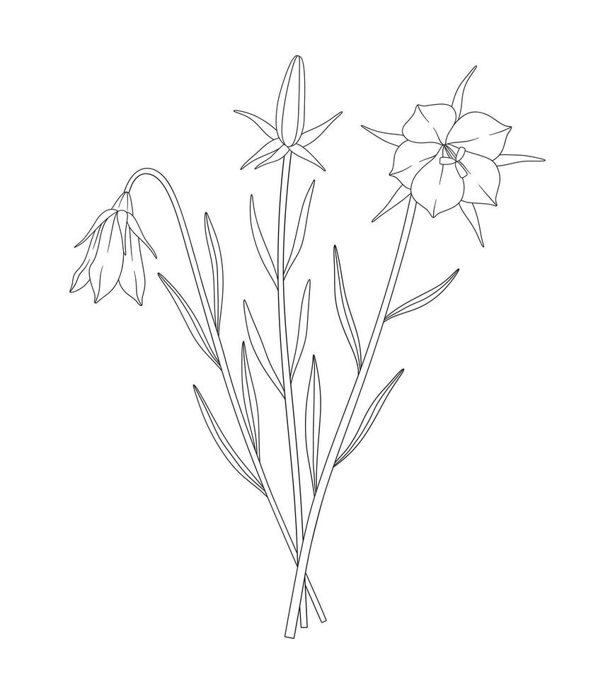 Bouquet of three flowers with leaves. Bunch of blooming perennial wildflowers. Line art, minimal style, contour plants. Botanical hand drawn elements for design projects, illustration vector