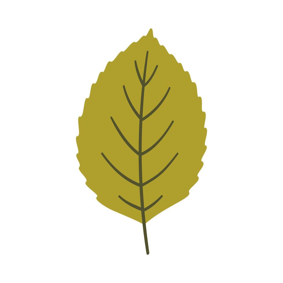 Tree leaf in green colors. One element isolated on white. Spring or summer background, illustration vector