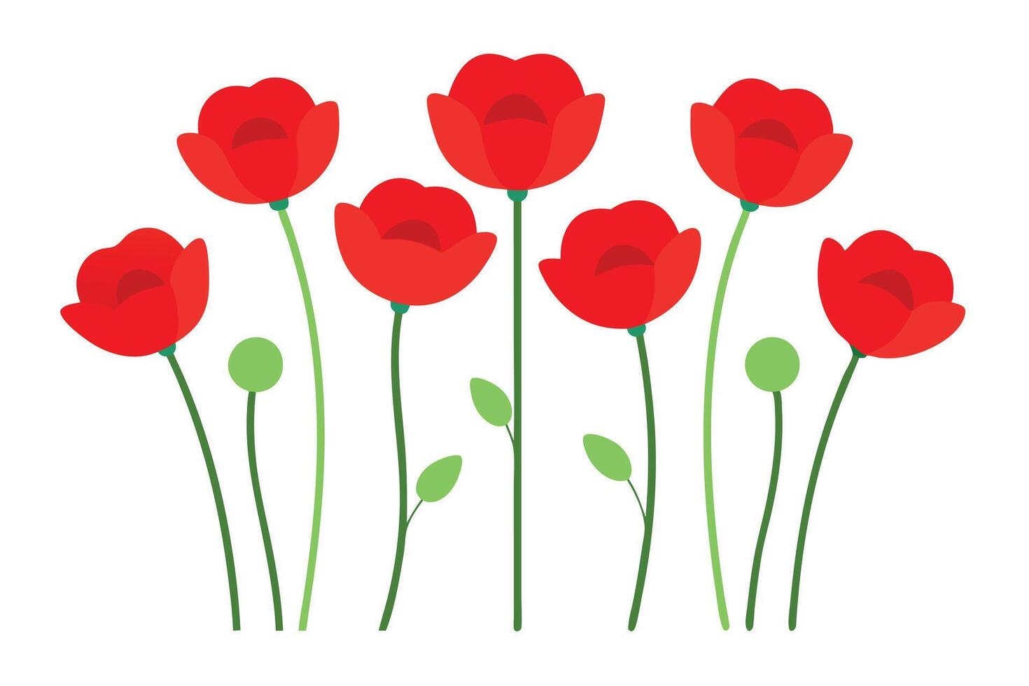 Stylized Red Poppy Flowers with Green Stems and Leaves on White Background vector