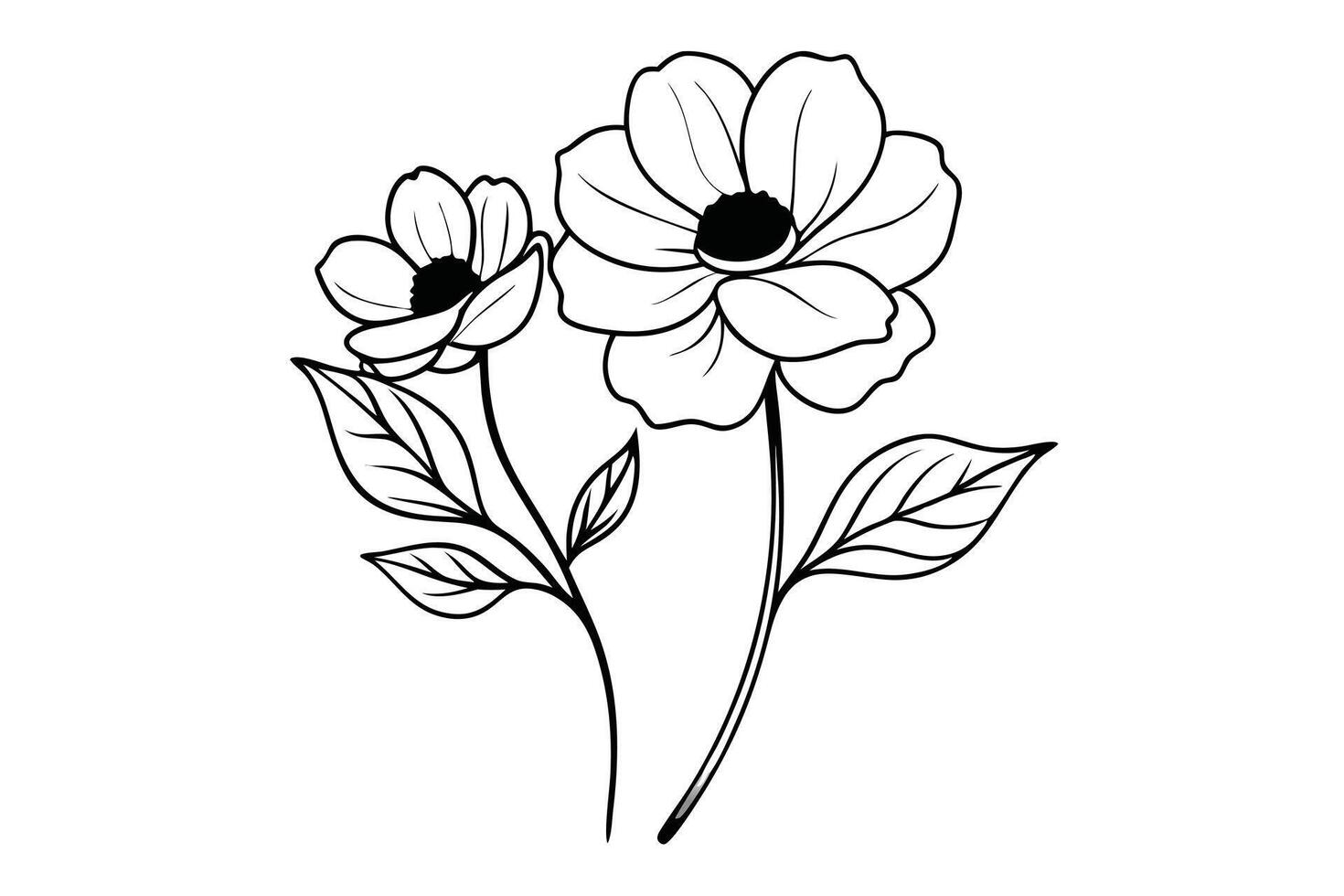 Elegant Anemone Flower Outlines with Leaves, Artistic Black and White Floral Illustration vector