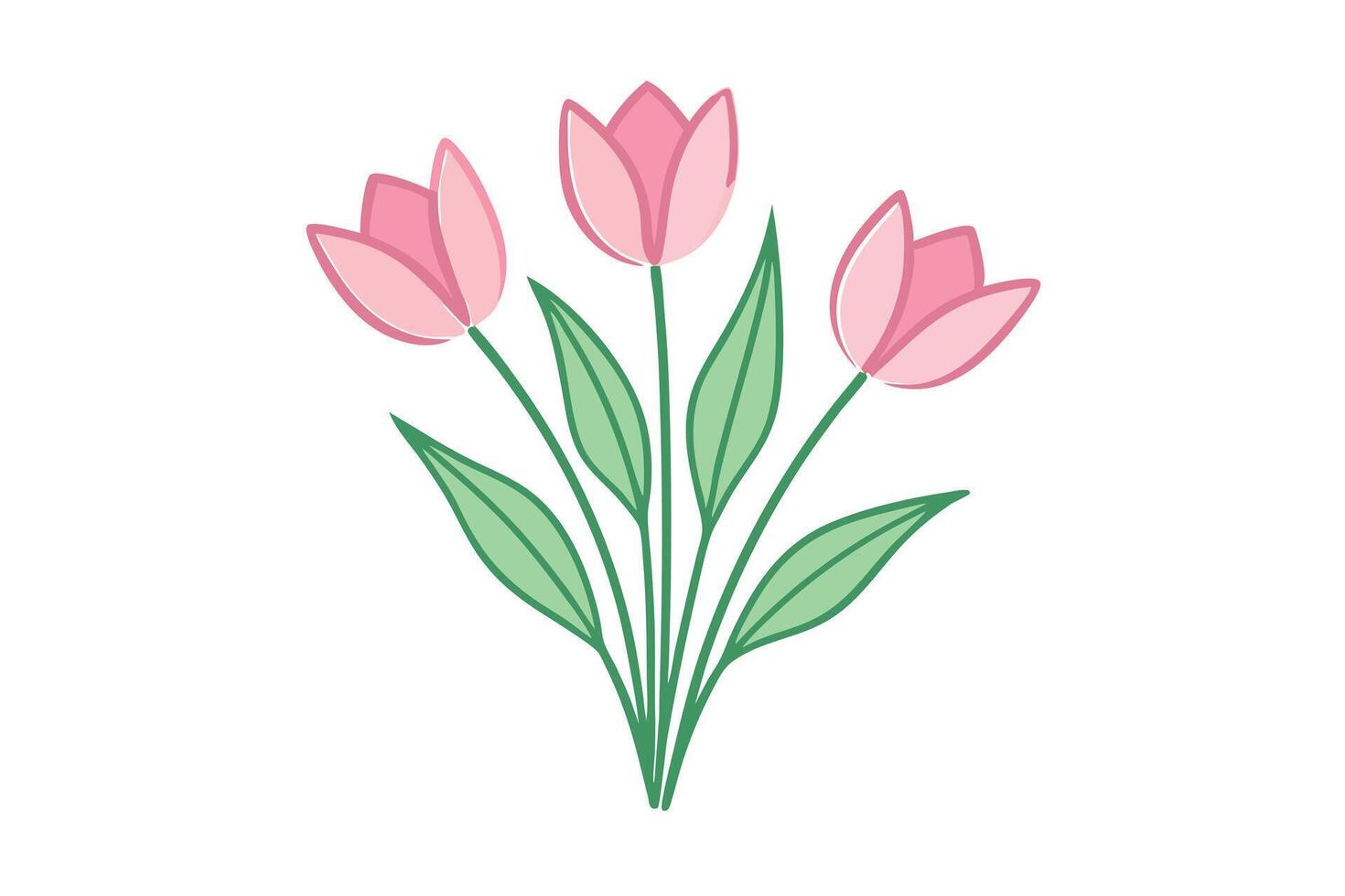 Three Pink Tulips with Green Leaves on a Clean White Background vector