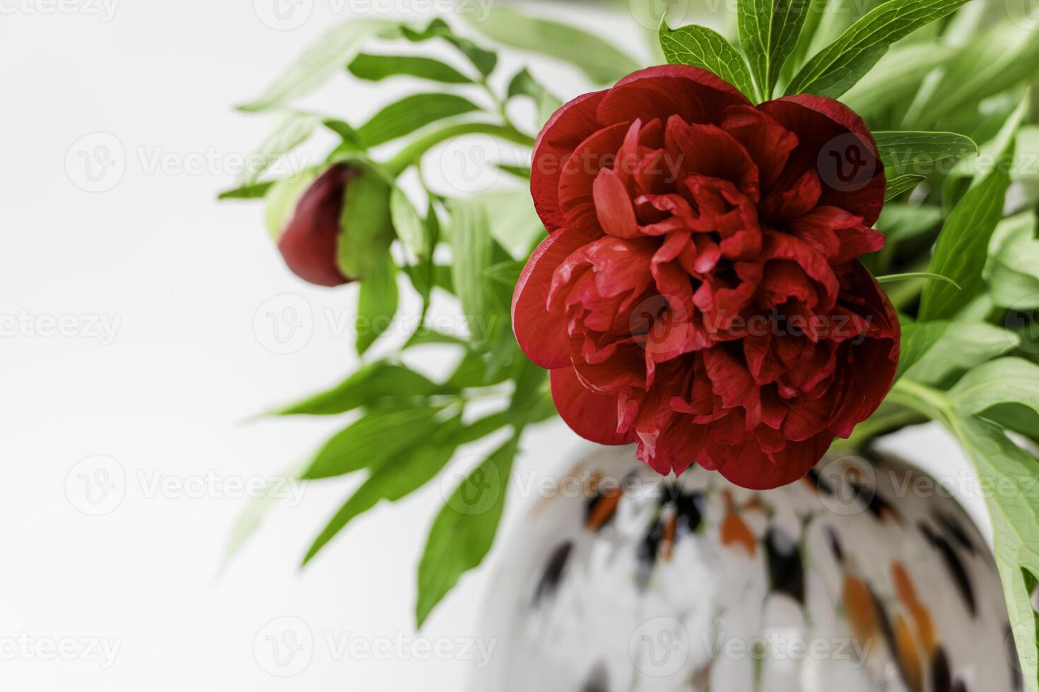 Elegant Floral Composition with Copy Space for Text or Design Peonies photo