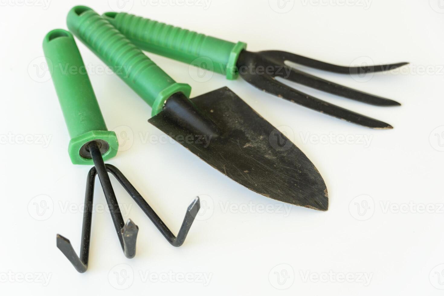 Gardening Tools Flat Lay on White Shovel, Rake, Pitchfork with Seedlings for Home Garden Projects photo