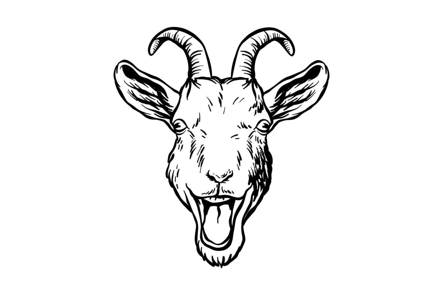 drawing illustration of a goat's head laughing vector