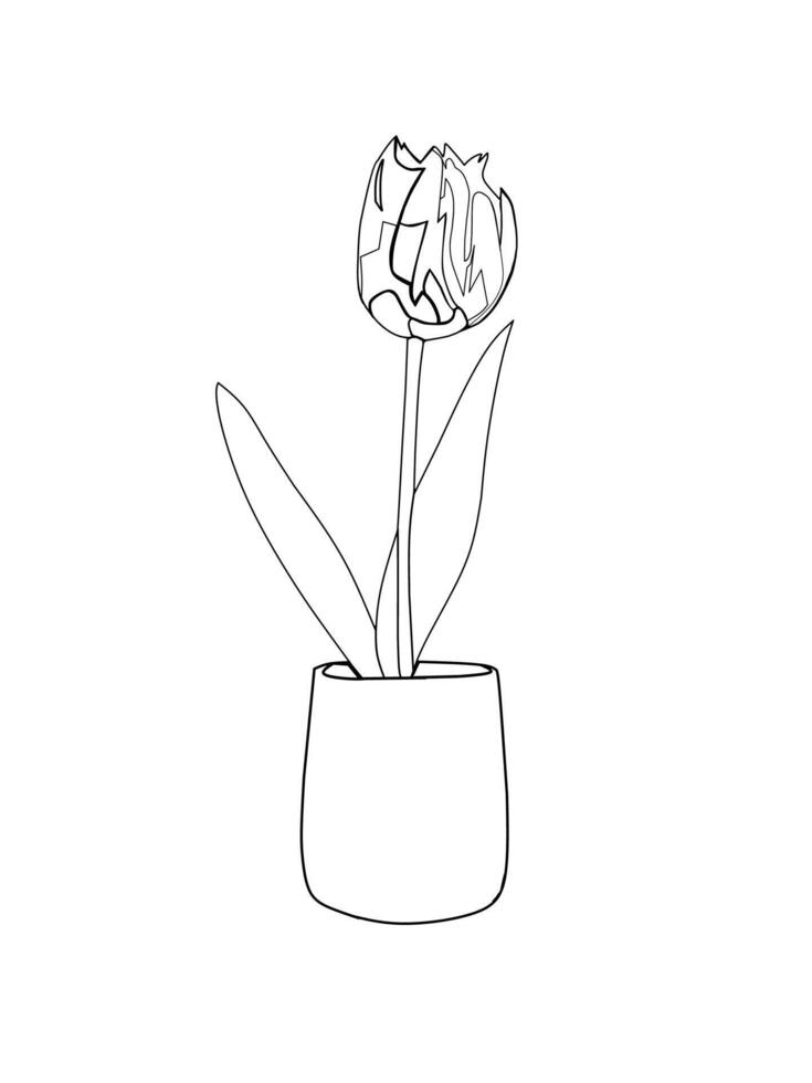 A vibrant tulip stands gracefully on white background. vector