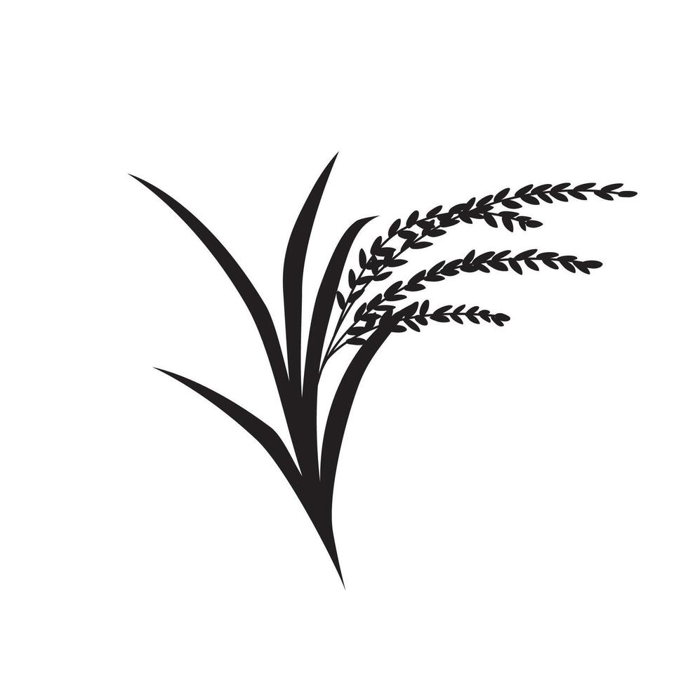 rice silhouette design. agriculture plant sign and symbol. vector