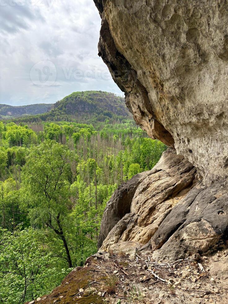 Stone cliff with view of green mountain forest below. Nature background. photo