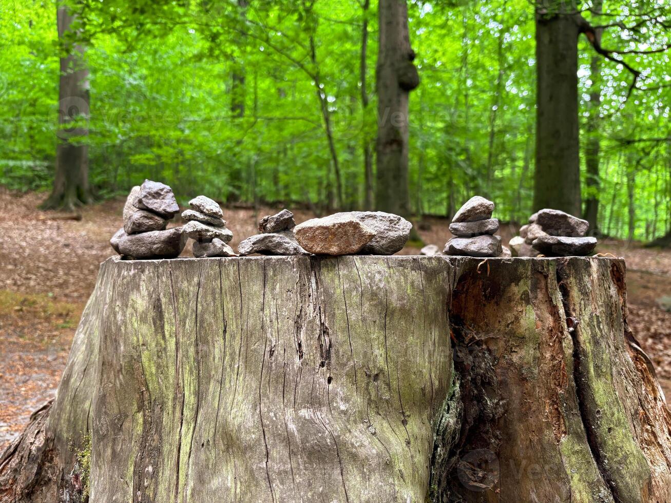 The stone pyramids are built on a large tree stump in a mountain forest. photo