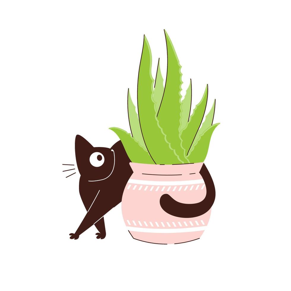 Curious black cat walks around a flower pot. Pets and potted plants in pots vector