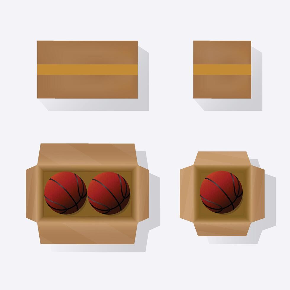 Open cardboard with basket balls inside design illustration vector