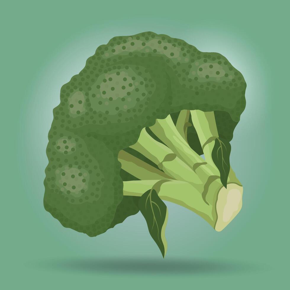Broccoli vegetable pieces design illustration vector