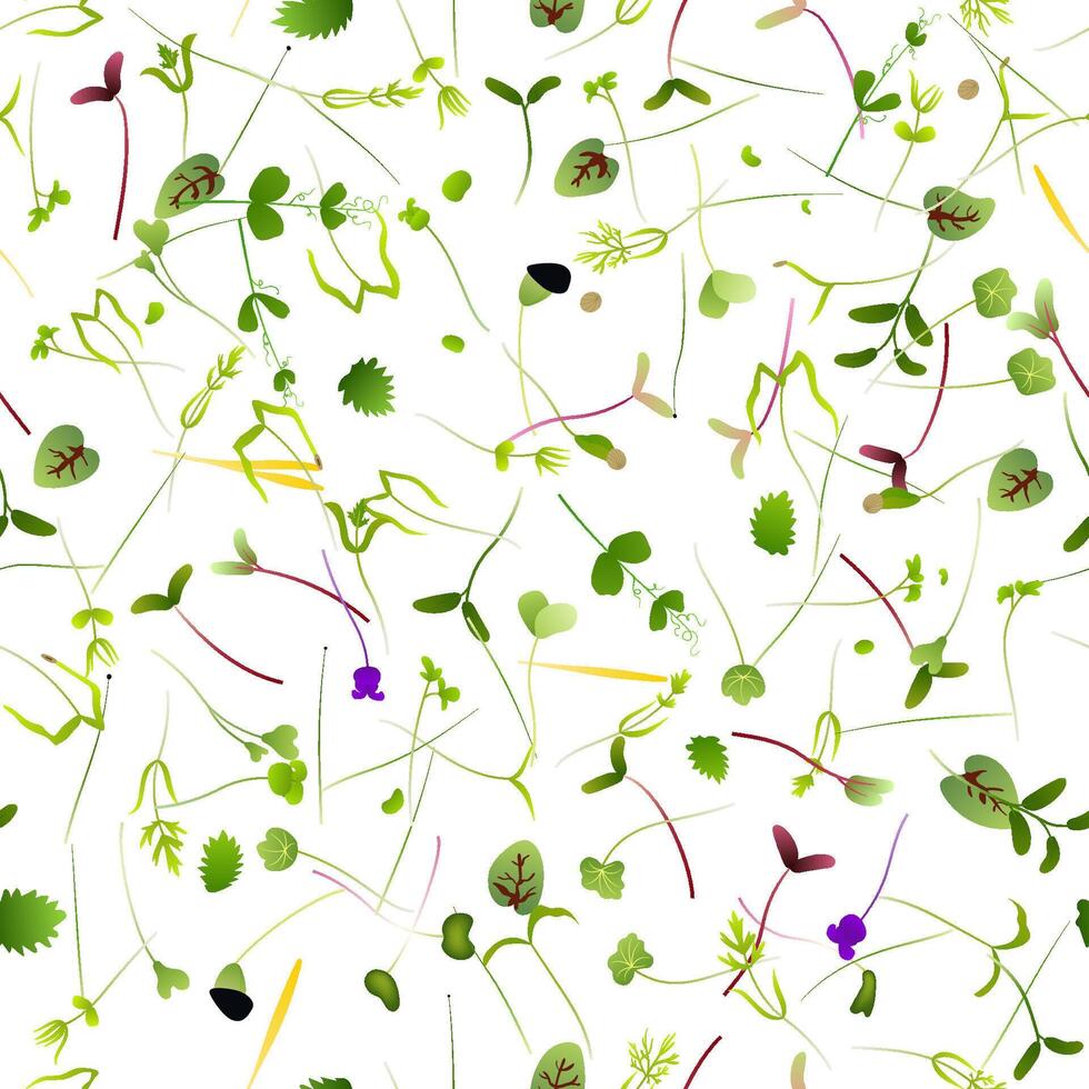 Seamless pattern of microgreens growing on white background vector