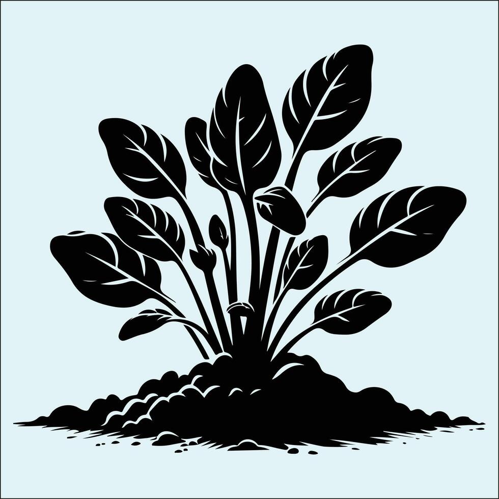 Black Silhouette of Fresh Spinach Leaves Isolated vector