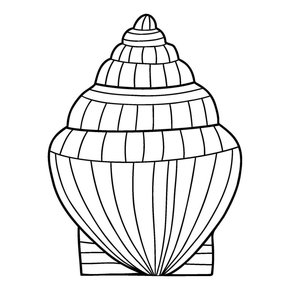 Outline Shell. Beautiful sea conch. illustration. linear hand drawing doodle vector