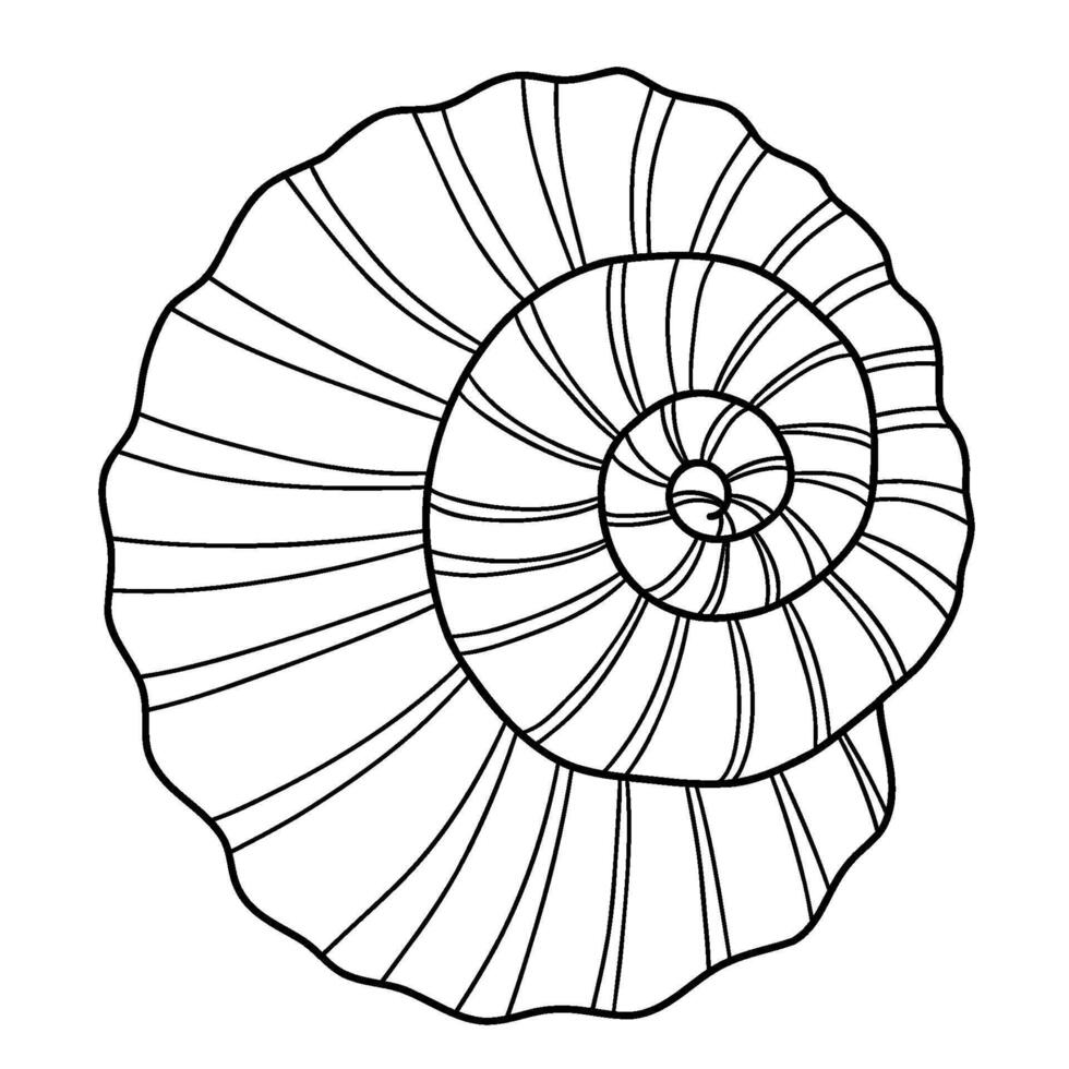 Outline Shell. Spiral twisted sea conch. linear hand drawing doodle. illustration vector