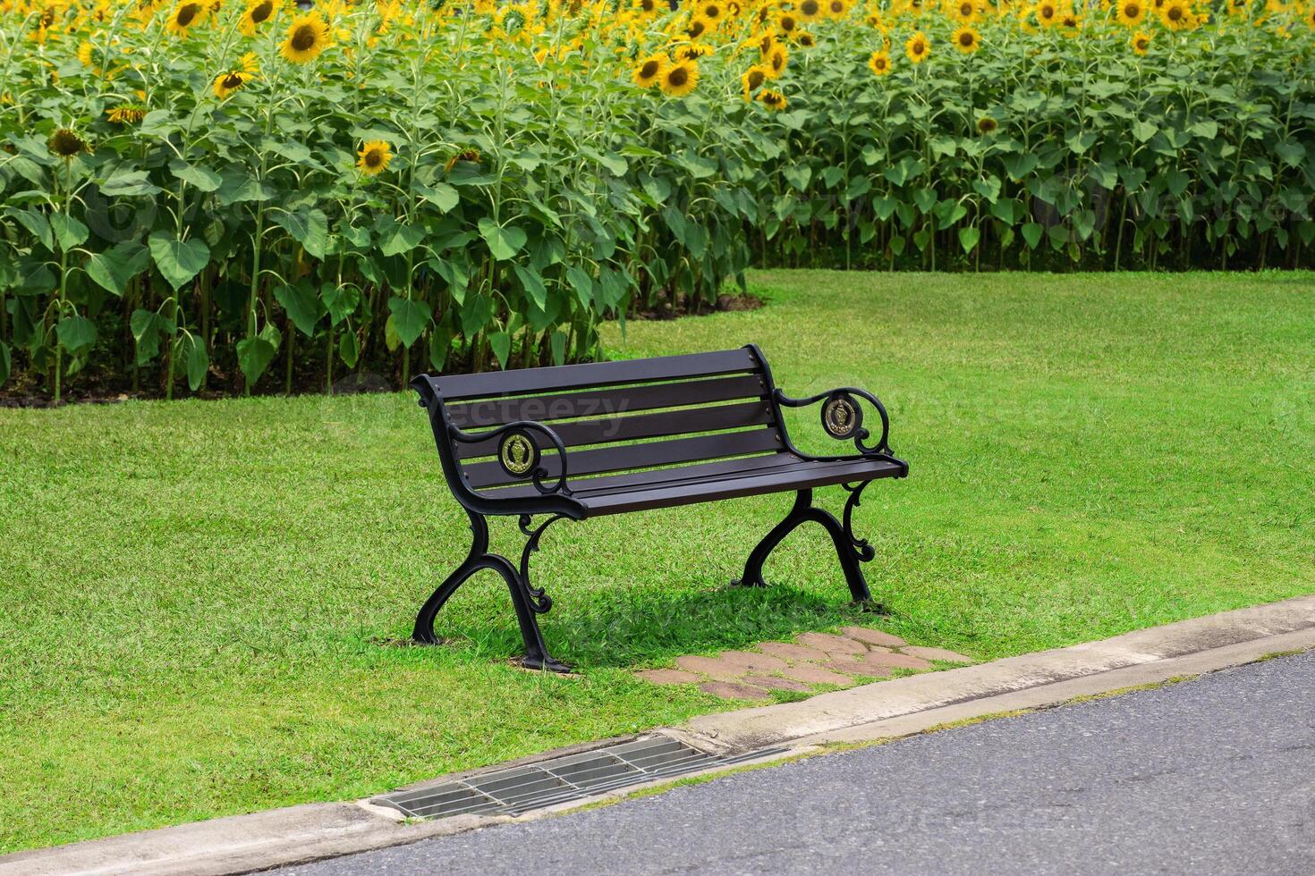 A bench sitting in front of a field of sunflowers photo