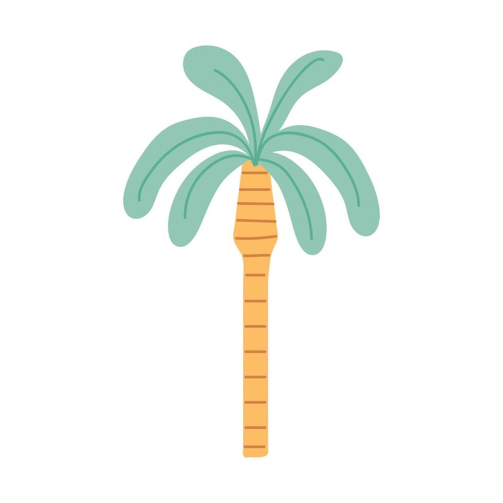 Palm tree with green leaves and brown trunk. Tropical summer plant illustration. Flat icon isolated on white background vector