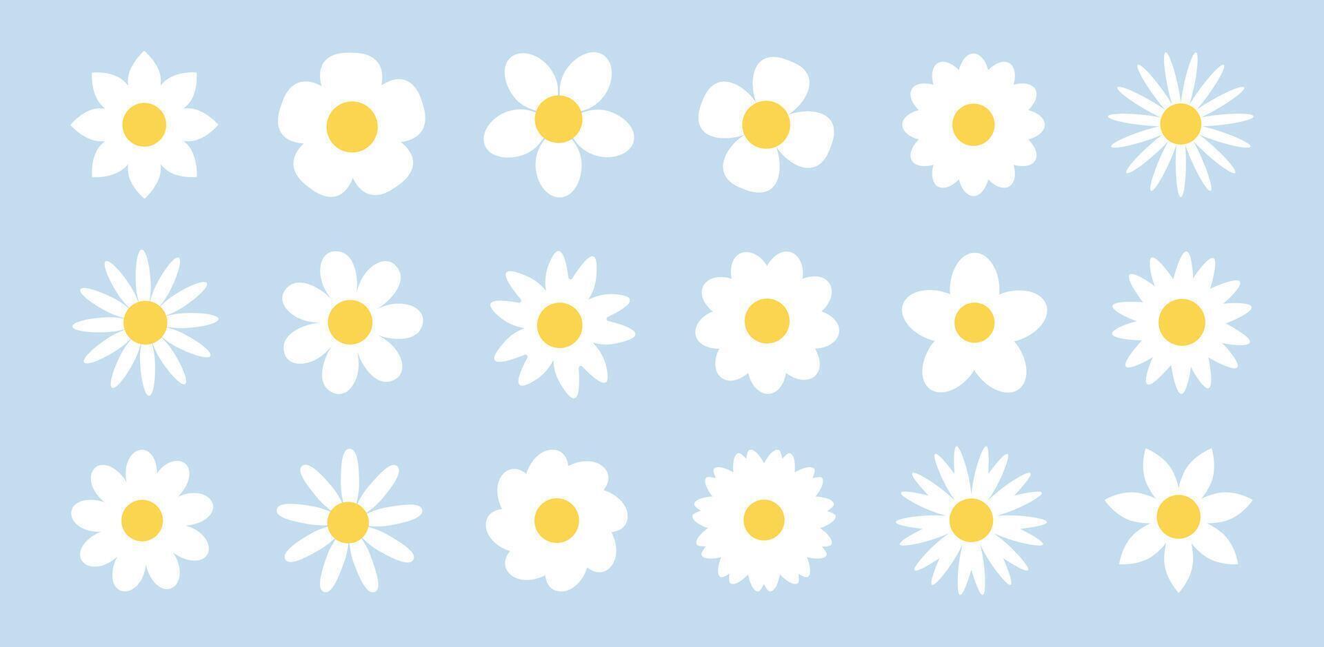 Camomile flower set. Minimal daisy collection on soft blue background. Simple floral elements. Clean and delicate design for spring and summer nature themes. vector
