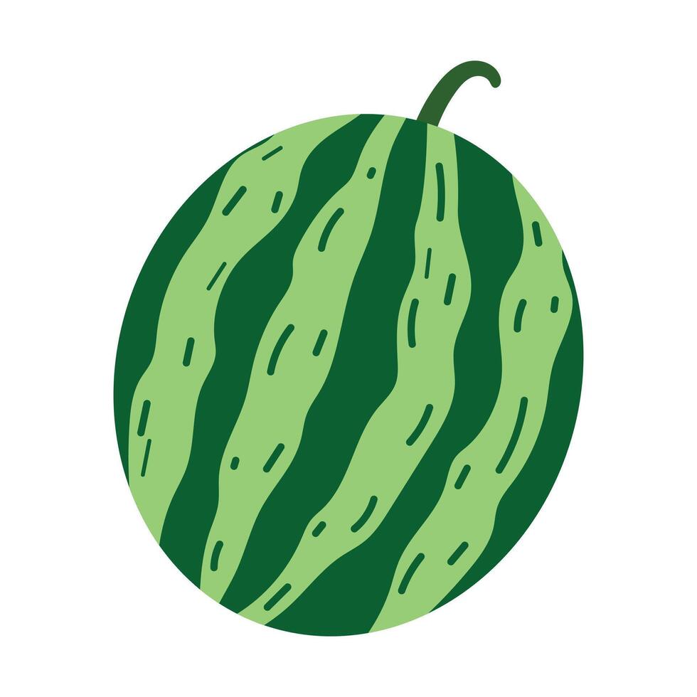 Flat design of whole watermelon. Green round fruit with stripe texture. Healthy summer food. vector