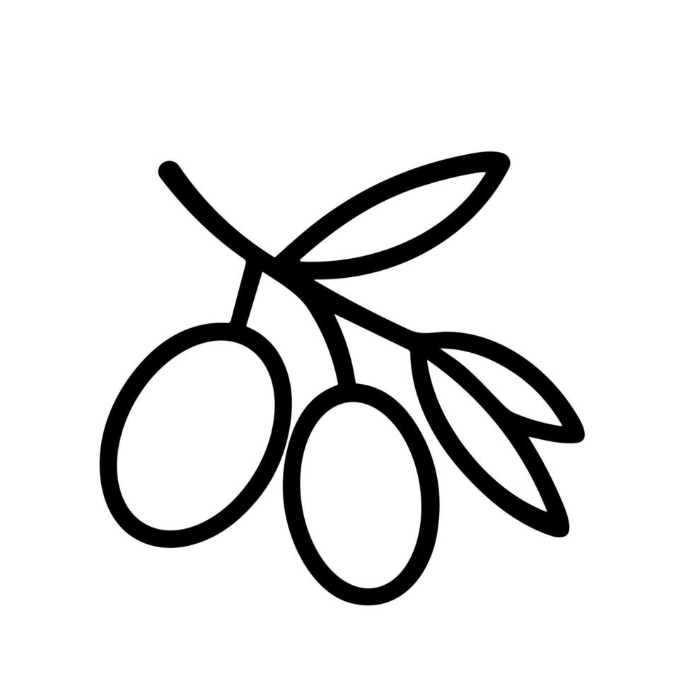 Simple Outline Drawing Olive Branch with Olives Icon Illustration vector