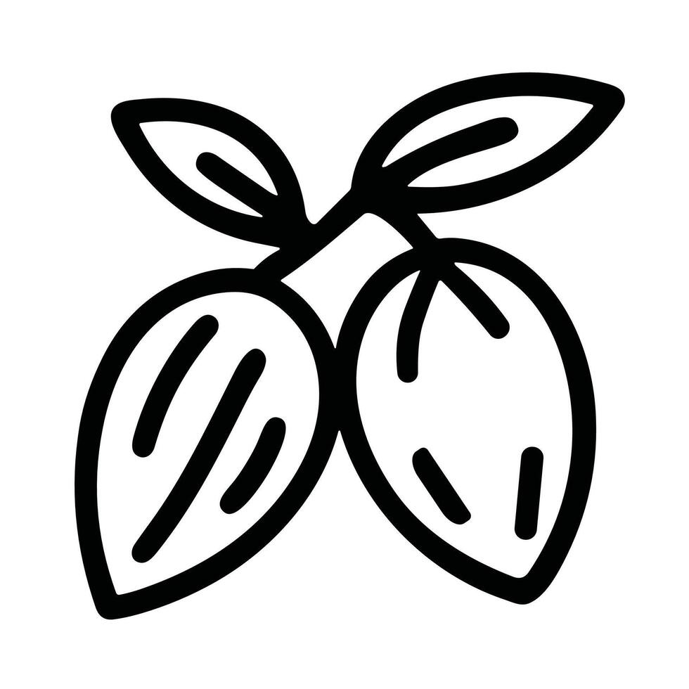 Minimalist Outline Drawing Cocoa Bean Branch Organic Healthy Ingredient vector