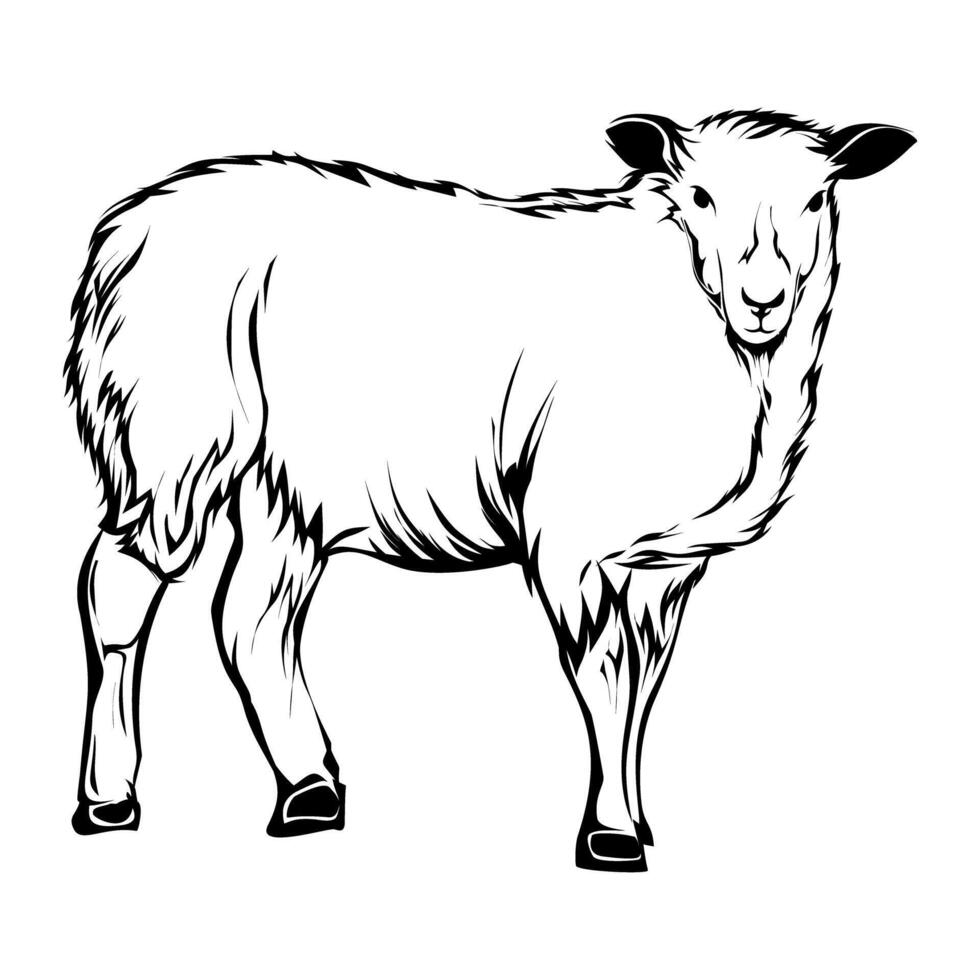 Standing Sheep Drawing Farm Animal Black and Transparent Illustration vector