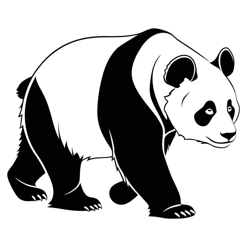 Panda bear illustration with a wild mammal silhouette, perfect for animal and nature-themed designs vector
