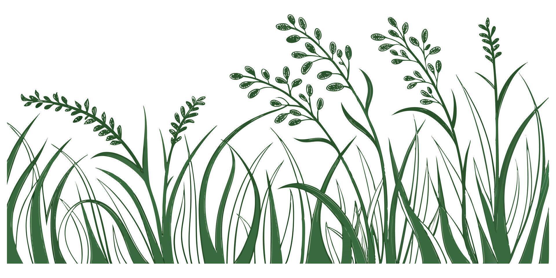 Fresh green grass vectors illustrate nature's vibrant growth, isolated on white for versatile design