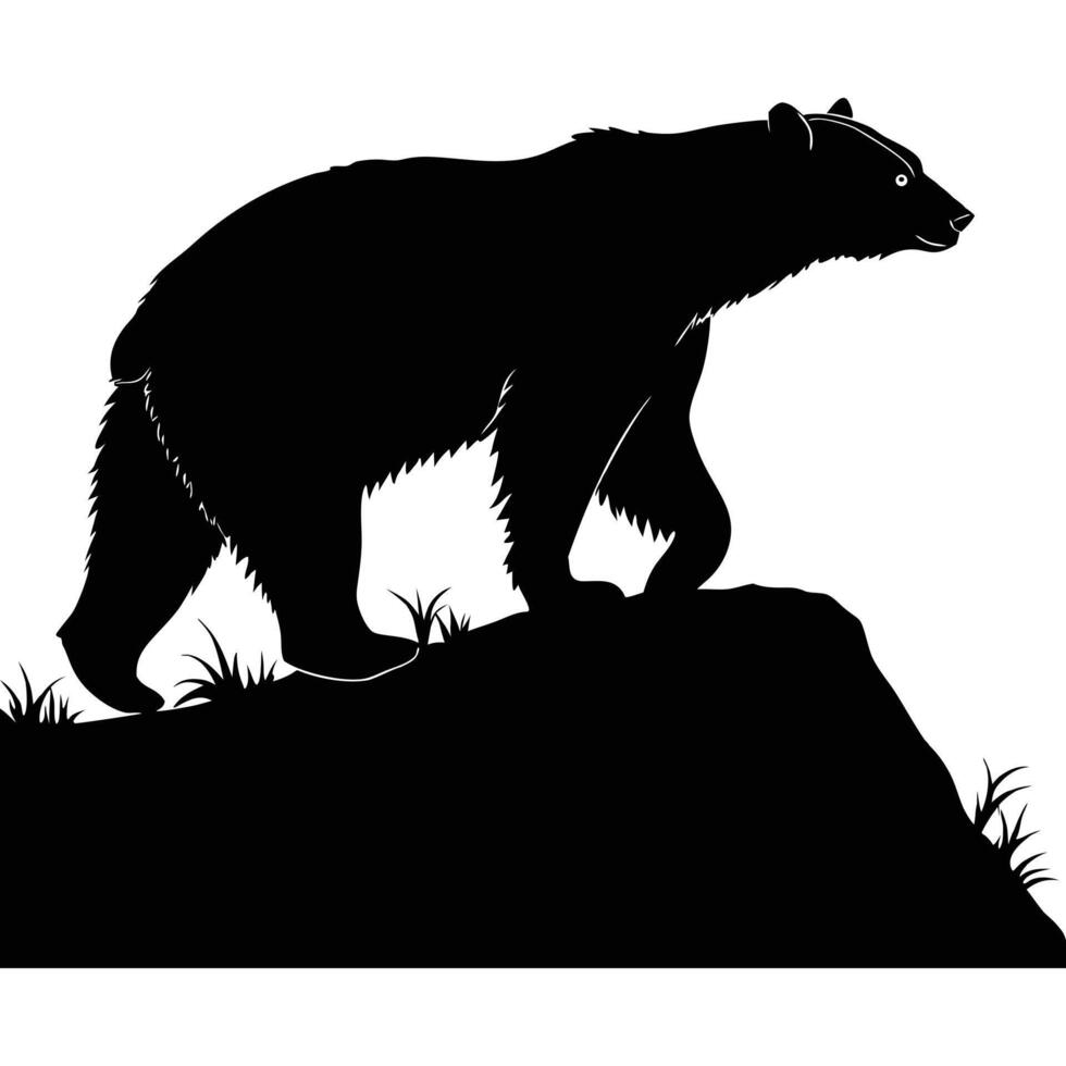 Black bear animal silhouette illustration in wild nature vector