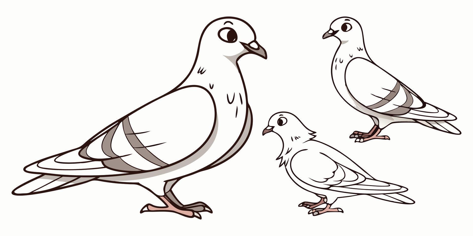 Two peaceful white doves on a branch, a illustration of beautiful birds in nature vector