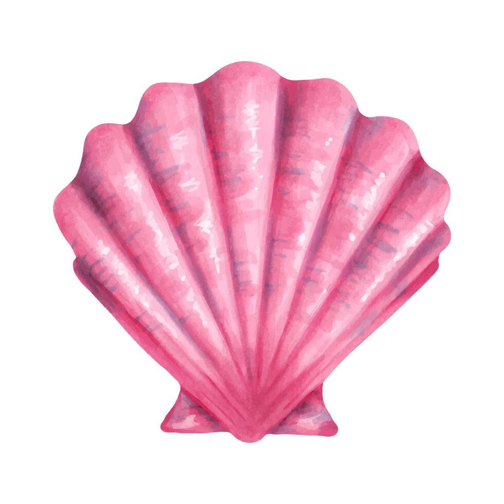 Seashell scallop. Watercolor and marker illustration. Sketch of Bivalve. Hand drawn isolated art. Wild underwater life. Ocean mollusk. Shell for menu design, kids room, bath. Exotic marine fauna vector