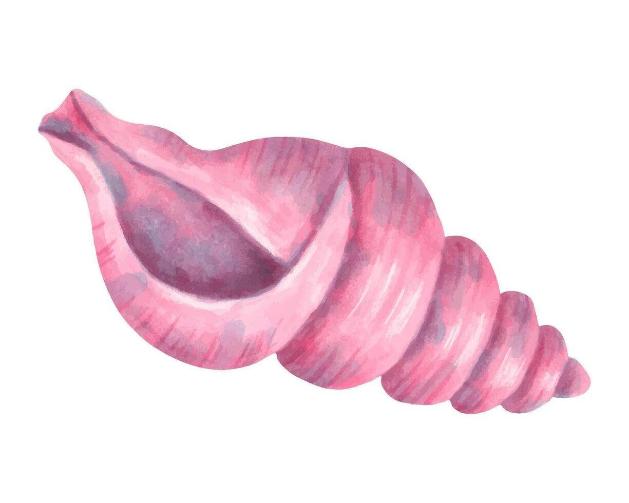 Spiral seashell. Watercolor and marker illustration. Sketch of Bivalve. Hand drawn isolated art. Wild underwater life. Ocean mollusk. Shell for menu design, kids bath, swimsuit. Exotic marine fauna vector
