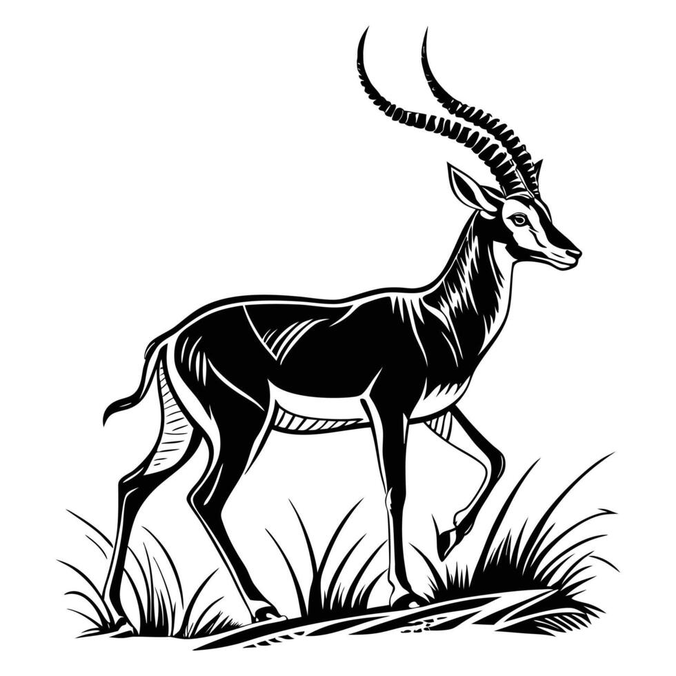 cartoon illustration of a wild zebra with antlers, a cute animal design vector