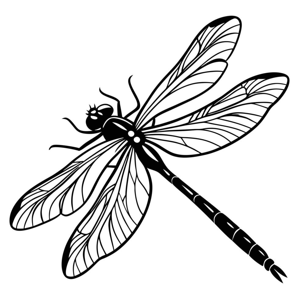 Macro illustration of a beautiful flying dragonfly with detailed wings, isolated on black or white, capturing its natural insect beauty vector