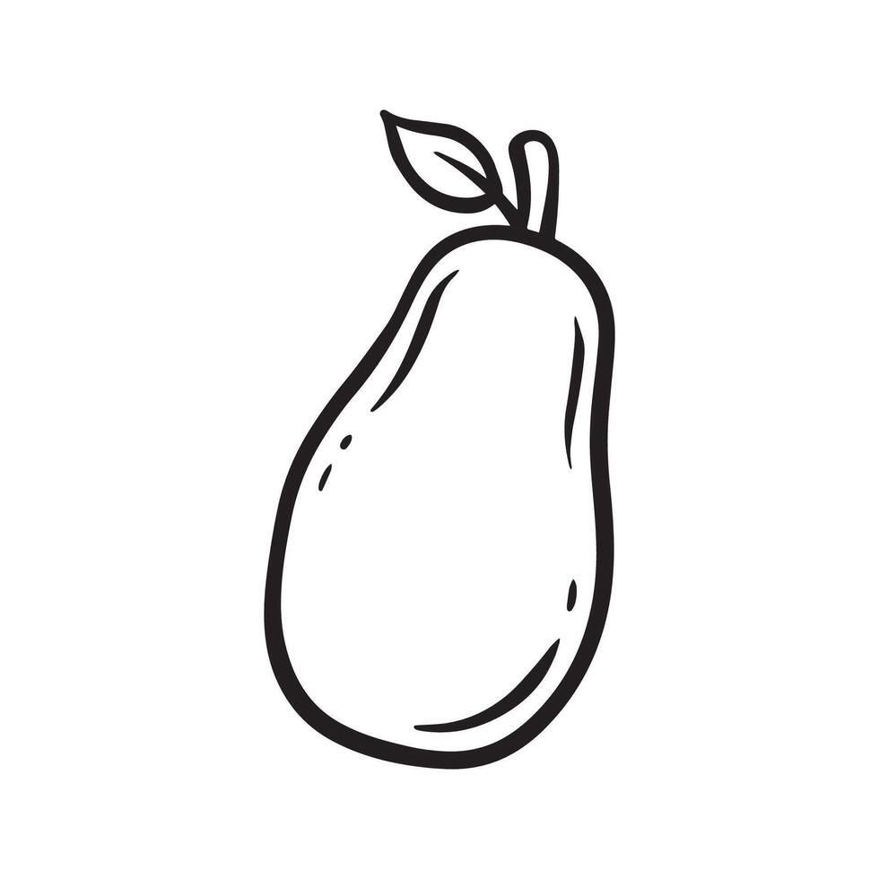 Avocado Fruit handdrawn lineart icon illustration vector