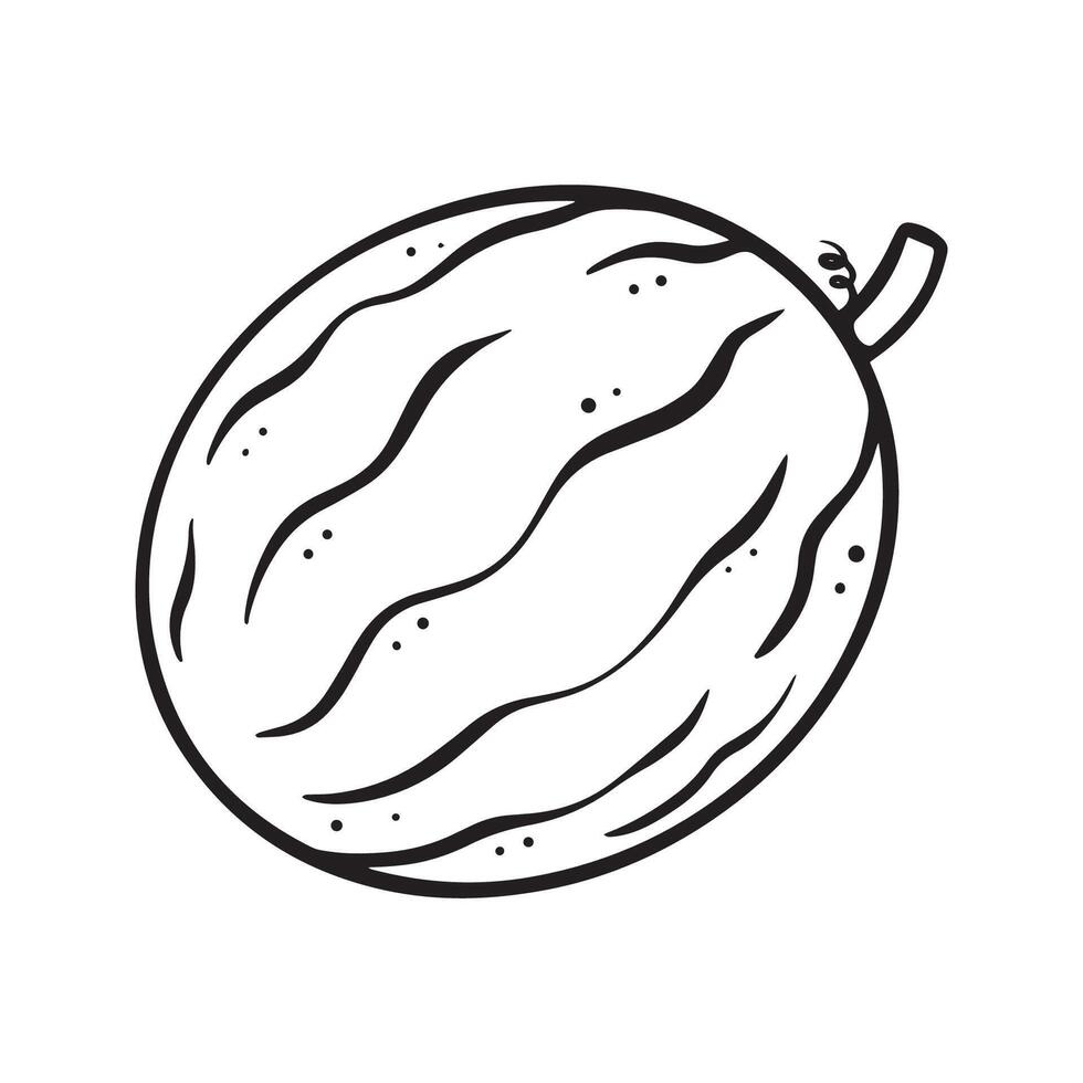 Watermelon Fruit handdrawn lineart icon illustration vector