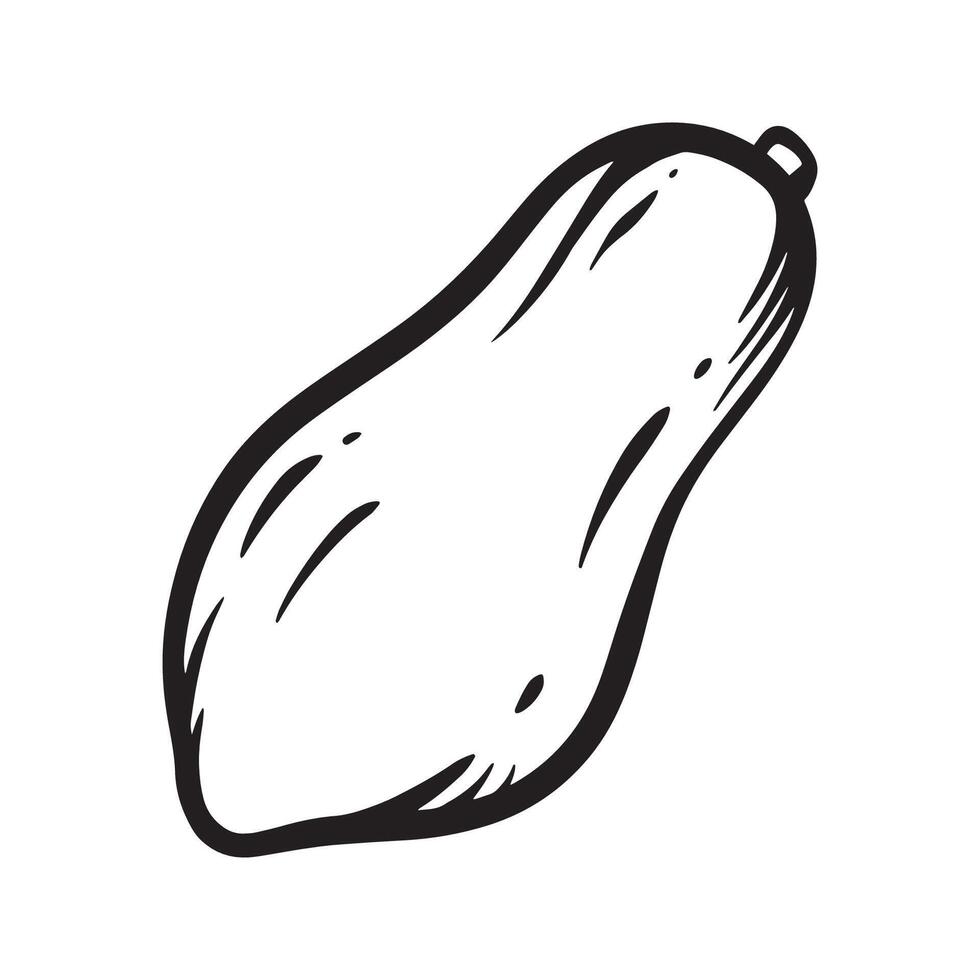 Pawpaw Fruit handdrawn lineart icon illustration vector