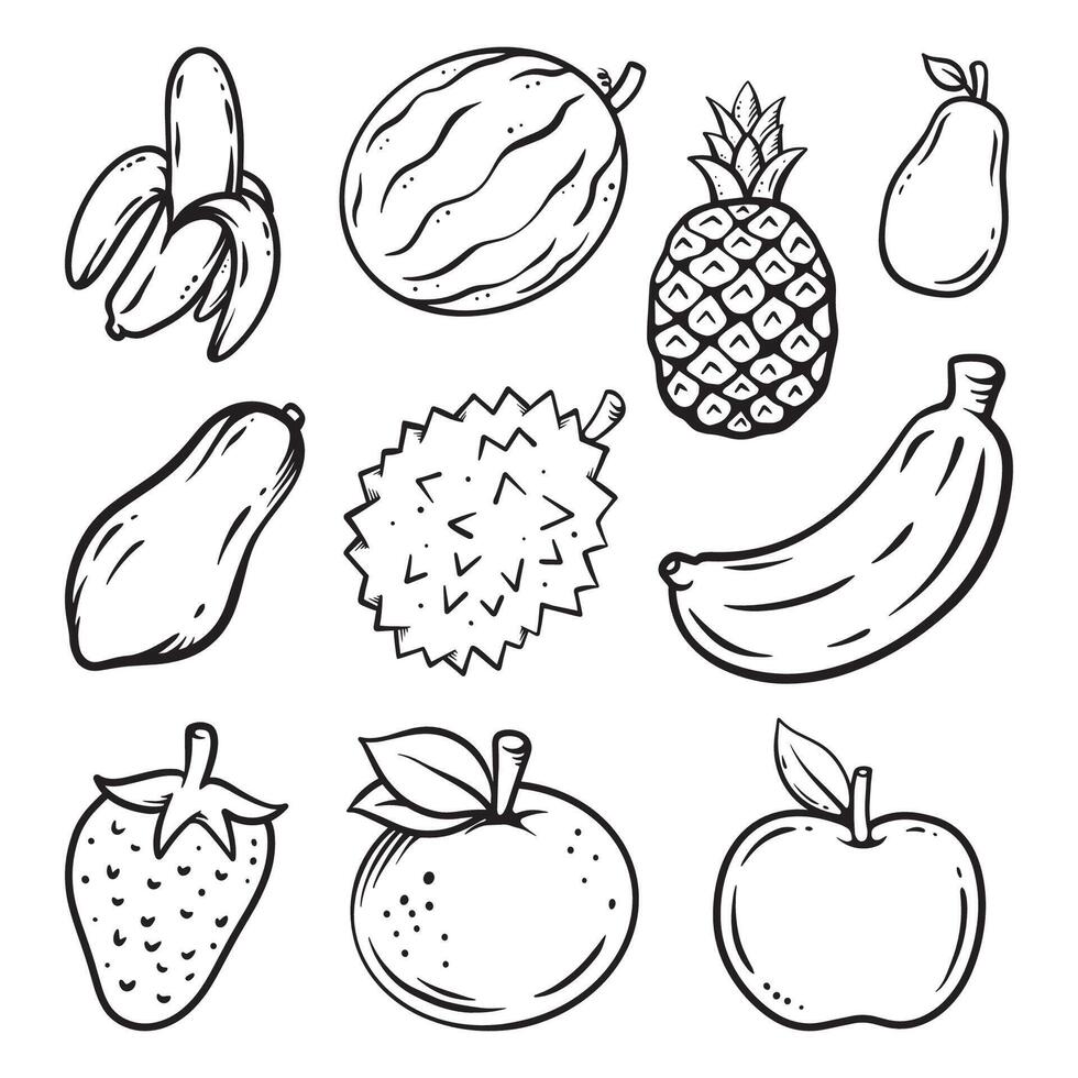Set of Fruit handdrawn lineart icon illustration vector