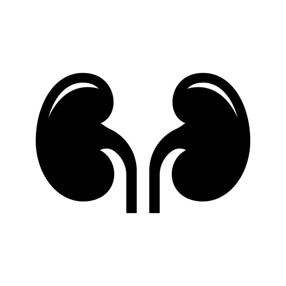 Black kidney icon isolated on white background. vector